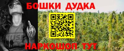 каннабис Новодвинск